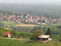 Ljutomer