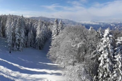 Zimska idila na Pohorju