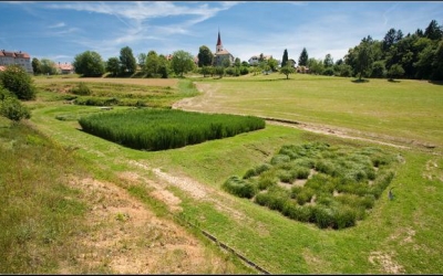 Rastlinska čistilna naprava, vir: Limnos