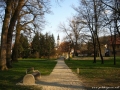 Park in cerkev