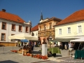 Prleški sejem 2009