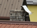 Močan veter v Ljutomeru