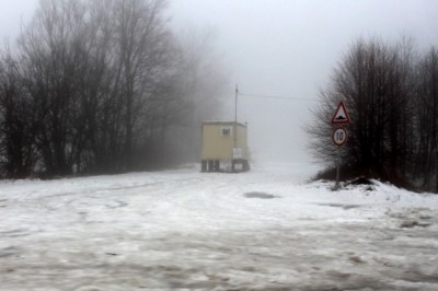 Poginulega laboda so dopoldan našli pri gramoznici v Babincih