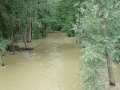 Mura med Veržejem in Dokležovjem