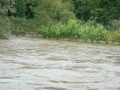 Mura med Veržejem in Dokležovjem