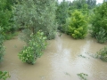 Mura med Veržejem in Dokležovjem