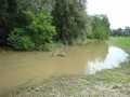 Mura med Veržejem in Dokležovjem