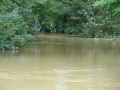 Mura med Veržejem in Dokležovjem