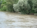 Mura med Veržejem in Dokležovjem