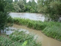 Mura med Veržejem in Dokležovjem