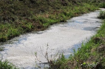 Potok Trnava (leta 2012, ko je prišlo do onesnaženja)