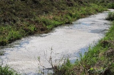Potok Trnava (leta 2012, ko je prišlo do onesnaženja)