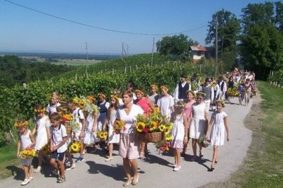 Povorka cvetja v Šprincu