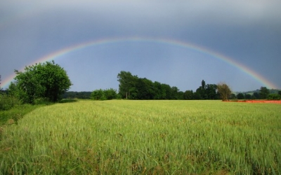 Mavrica nad Ljutomerom