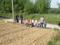 Na Stari Cesti posejali semena buč