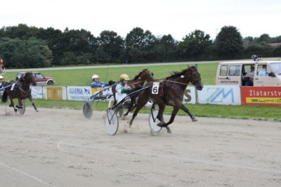 Pokal Pomurskega sejma, foto: sejem AGRA