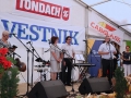 Naj domačija 2013