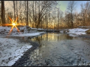 Zmagovalna fotografija uporabnika bostjan85