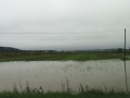 Cezanjevci