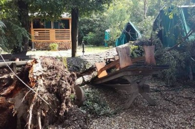 Neurje pri Tinekovem brodu, foto: Tinekov brod