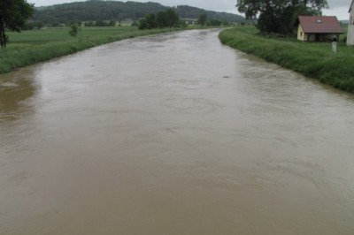 Narasla Ščavnica v Cezanjevcih