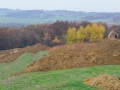 Obnova vinogradov v Železnih Dverih