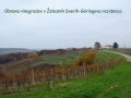 Obnova vinogradov v Železnih Dverih