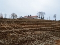 Obnova vinogradov v Železnih Dverih