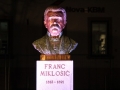 Odkritje doprsnega kipa Franca Miklošiča