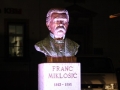 Odkritje doprsnega kipa Franca Miklošiča