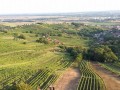 Odprtje razglednega stolpa Vinarium Lendava