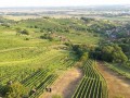 Odprtje razglednega stolpa Vinarium Lendava