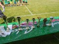 Osvojeni pokali v sezoni 2014/2015