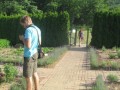 Otvoritev zeliščnega vrta Trebnik