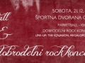 PARKETBALL & DOBRODELNI ROCK KONCERT 2013