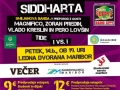 Piše se leto 2013