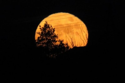 Polna Luna na božič