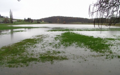 Poplavljen travnik v Žerovincih