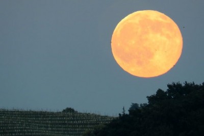 Junijska polna Luna - jagodna Luna