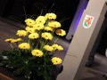 Podelitev Miklošičeve nagrade in priznanj