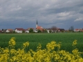 Pogled na polja v okolici Križevec pri Ljutomeru