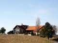 Pohod na Jeruzalem 08.02.2011