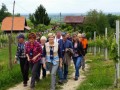 Pohod Pomlad v prleških goricah - Dan odprtih kleti in veselih ljudi