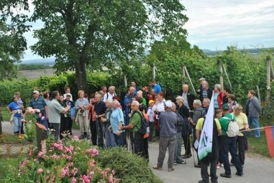 Pohod po občini Moravske Toplice