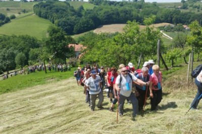 11. pohod Pomlad v prleških goricah