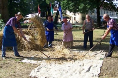 Ročna mlatitev rži z lesenimi cepmi