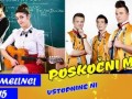 Pomurski športni festival - Učiteljice in Poskočni muzikanti
