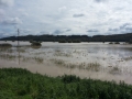 Poplave v Bolehnečicih in Berkovcih