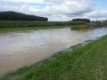 Poplave v Bolehnečicih in Berkovcih