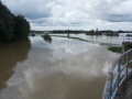 Poplave v Bolehnečicih in Berkovcih